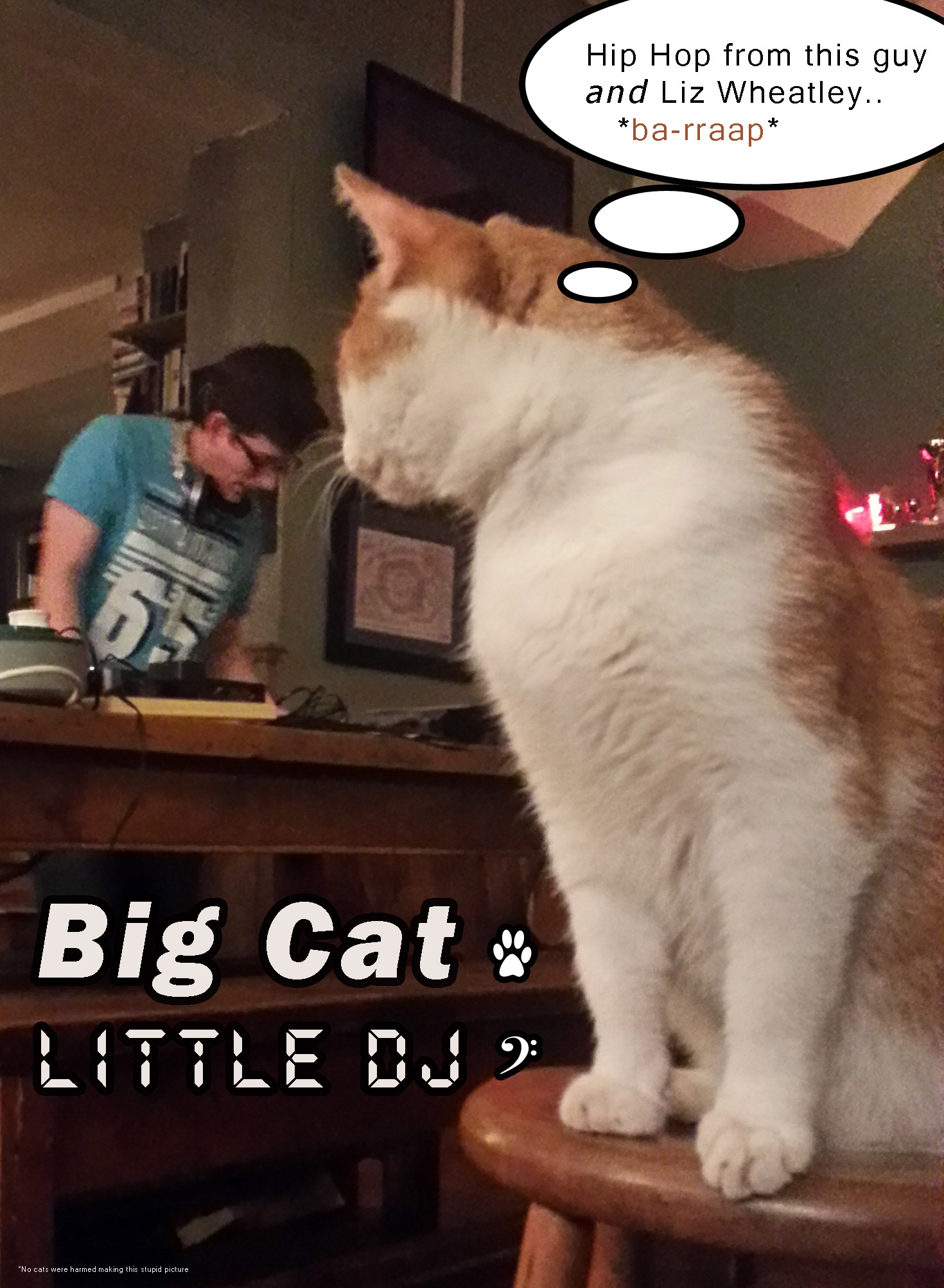 Big Cat - Little DJ